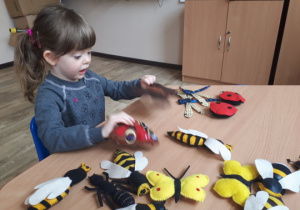Dziewczynka wyszukuje dwa takiesame owady