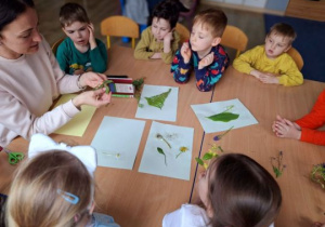 Dzieci tworzą zielnik z nauczycielką