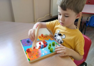 Chłopiec układa szczypcami kulki w odpowiednim kolorze