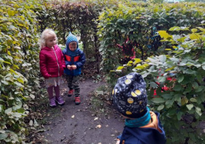 Dzieci szukają darów jesieni