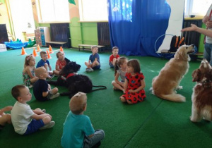 Dzieci słuchają prelekcji na temat psów