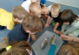 Dzieci eksperymentują z lodem i wodą