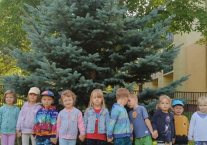 Dzieci okrążają drzewo