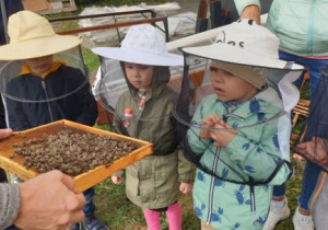 Dzieci oglądają pszczoły na ramce