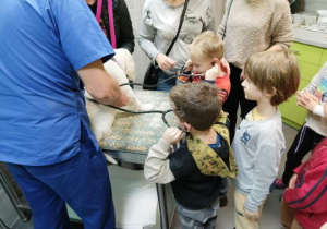 Dzieci osuchują pieska za pomocą stetoskopu
