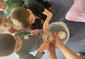 Dzieci odkrywają dinozaury z kostek lodu