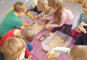 Dzieci przy pomocy pędzelka wyszukują plastikowe fragmenty szkieletów dinozaurów schowane w piasku w kuwetach.