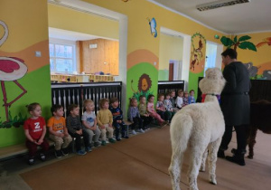 Dzieci słuchają prelekcji o alpakach