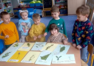 Dzieci prezentują zielnik