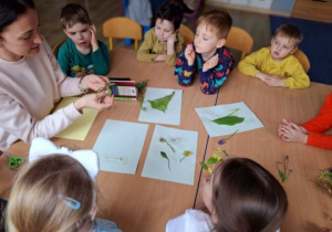 Dzieci tworzą zielnik z nauczycielką