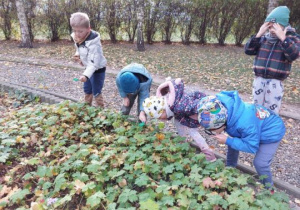 Dzieci obserwują przyrodę