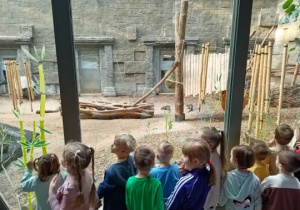 Dzieci obserwują wydry i tapira na wybiegu