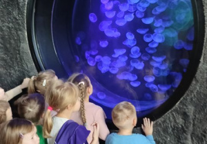 Dzieci oglądają meduzy w akwarium
