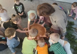 Dzieci dotykają plaster drewna