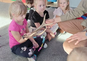 Dzieci oglądają poroża