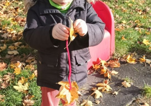 Chłopiec nawleka liście na drucik