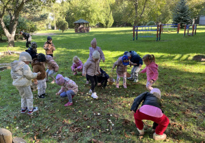 Dzieci zbierają kasztany w ogródku przedszkolnym