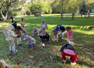 Jesienne zbieranie kasztanów