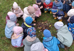 Dzieci tworzą kopczyk dla jeży