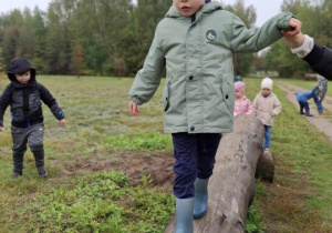 Chłopiec idzie po drewnianej kłodzie