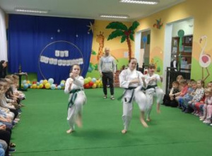Pokazy karate