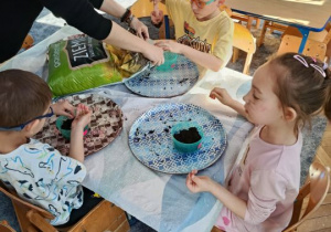 Dzieci wysiewają owies